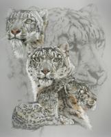 Ghost Series Animals - Captivating - Graphite Ink Gouache And Water