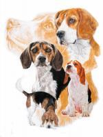 Ghost Series Animals - Beagle With Ghost Image - Watercolor Enhanced Colored Pe